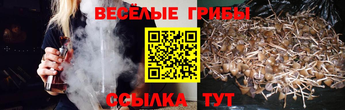 Карачаевск  Псилоцибиновые грибы мухоморы  Вход с VPN 